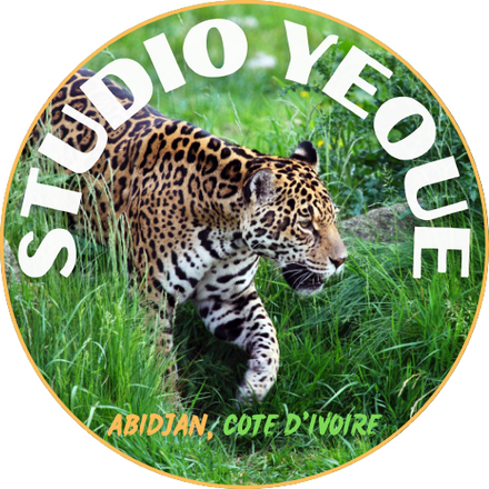 Studio Yeoue logo